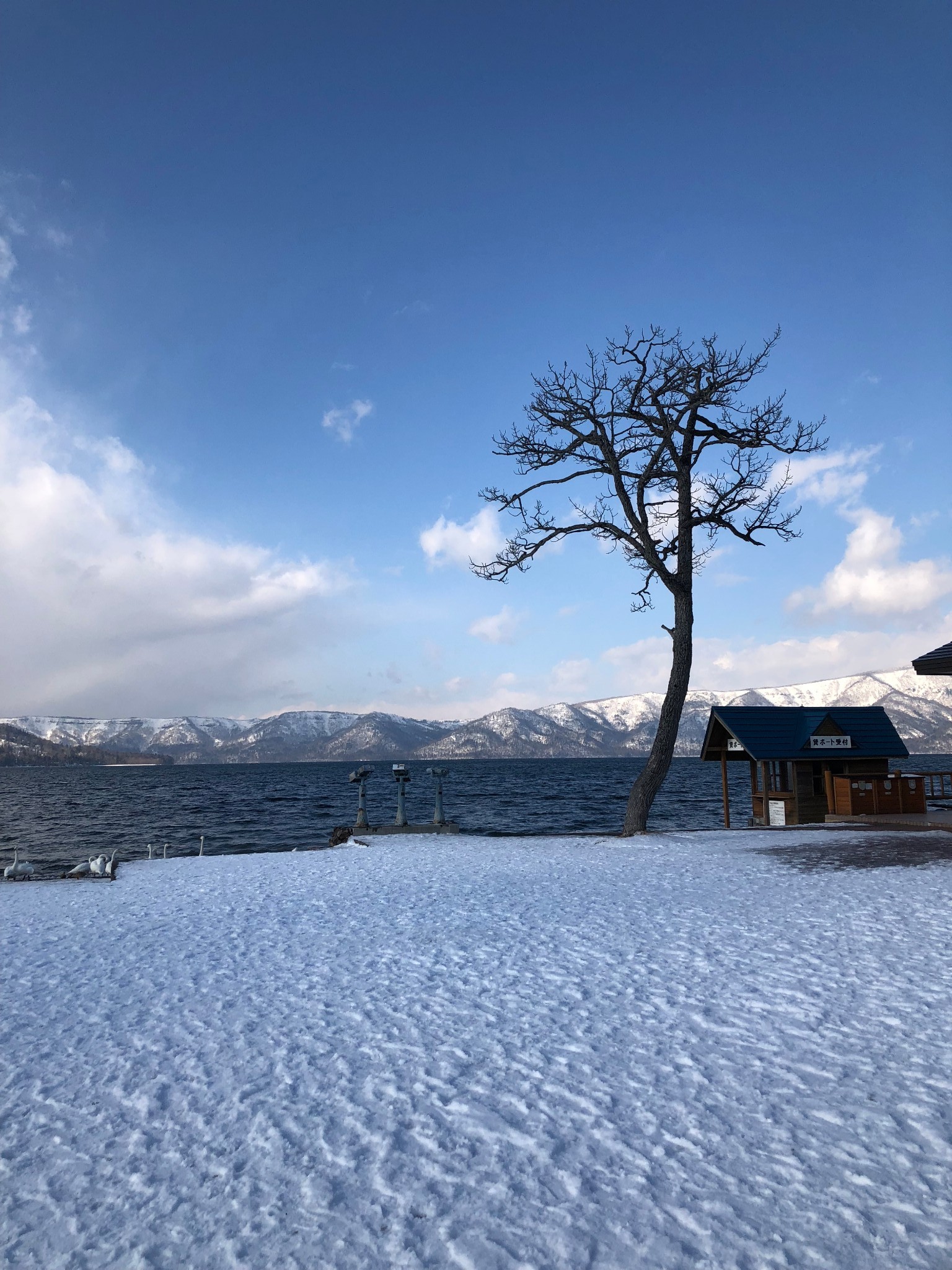 北海道自助遊攻略