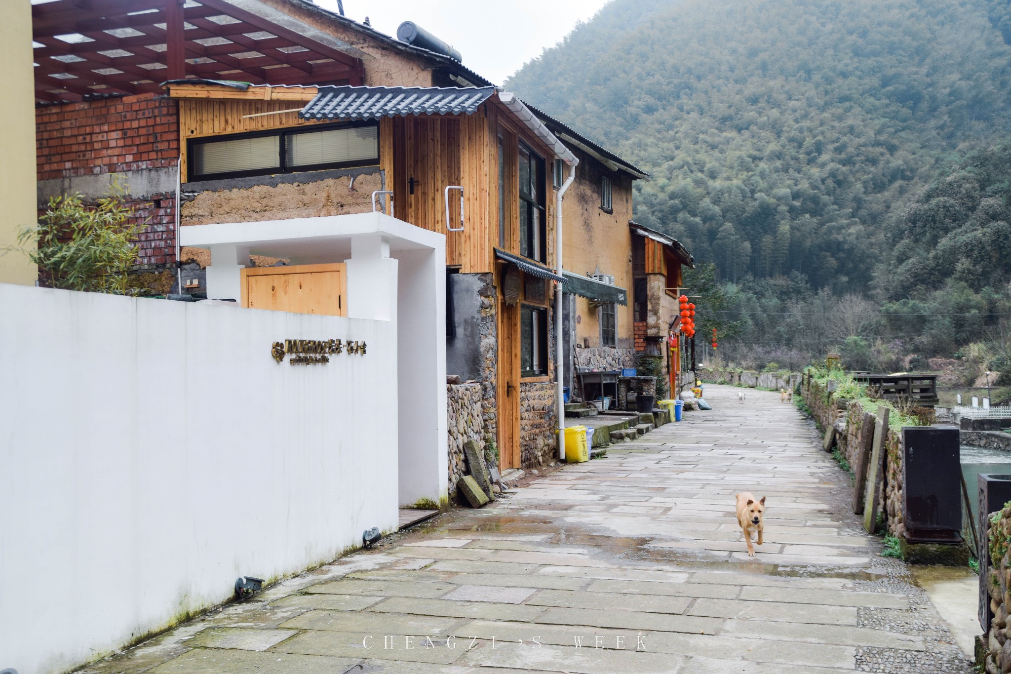 山间一日 / 做什么都舒适 —— 桐庐札记