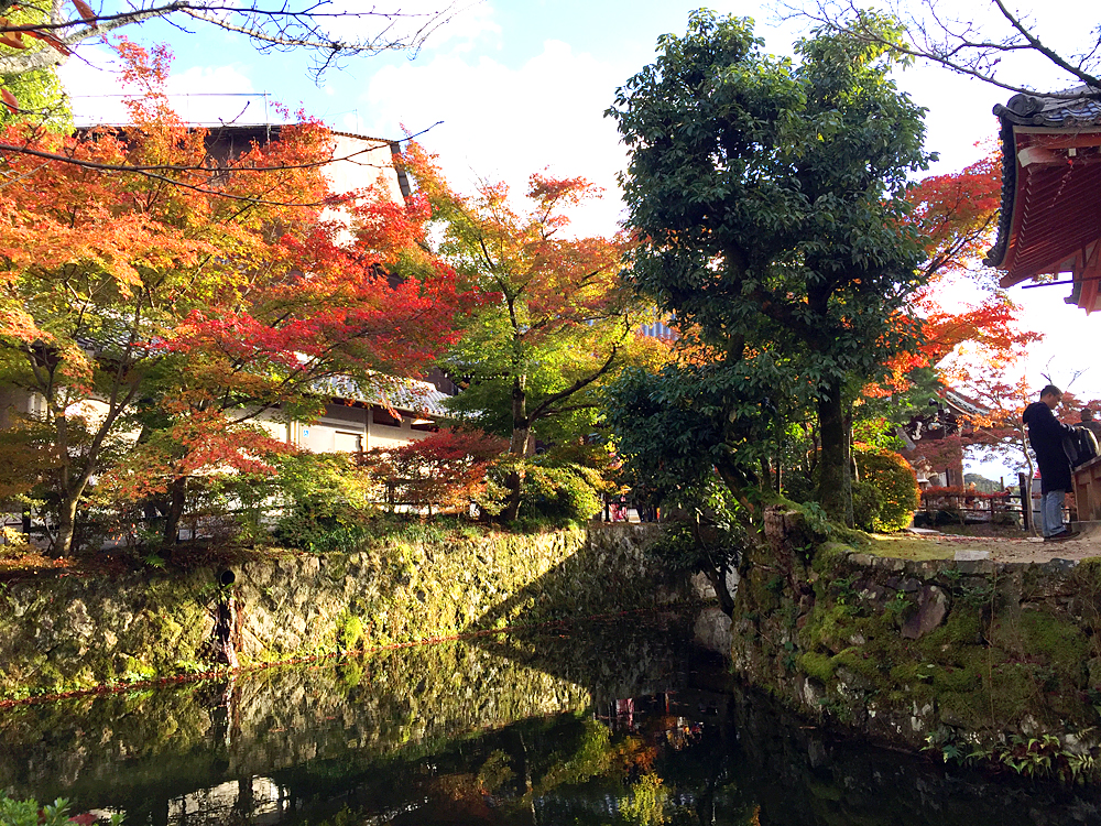 京都自助遊攻略