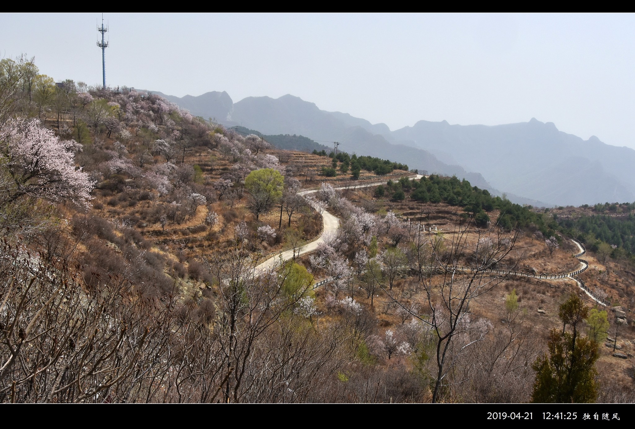 《随风逛京郊》房山【蒲洼乡的花台,红井路】