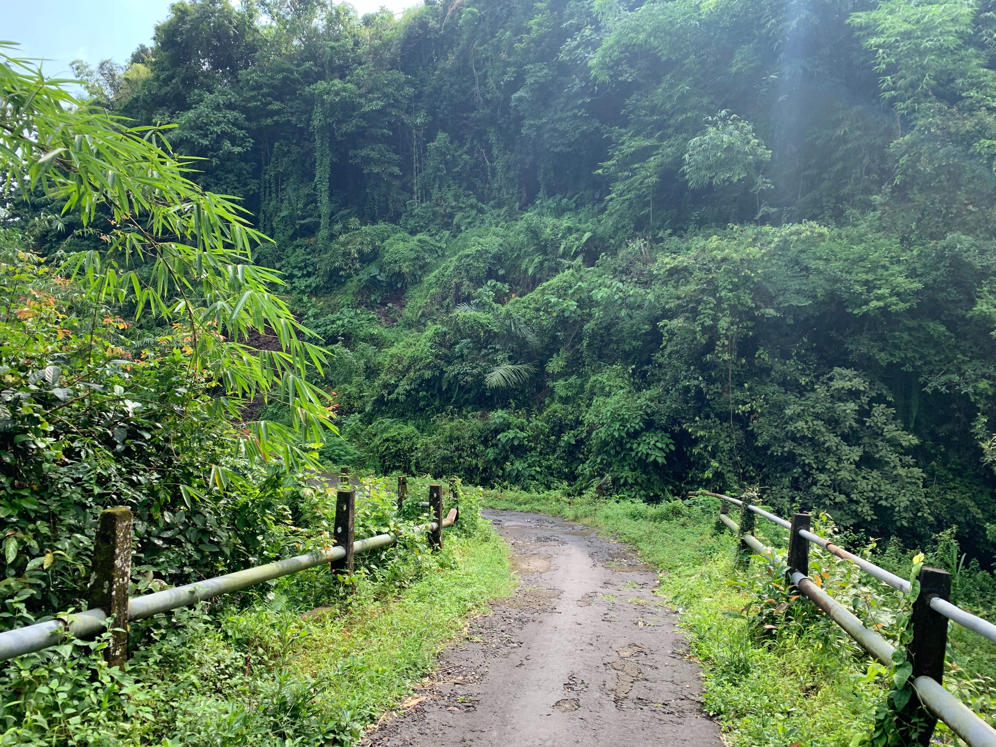 巴釐島自助遊攻略