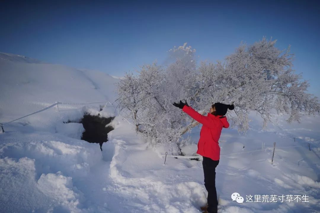 冰島自助遊攻略