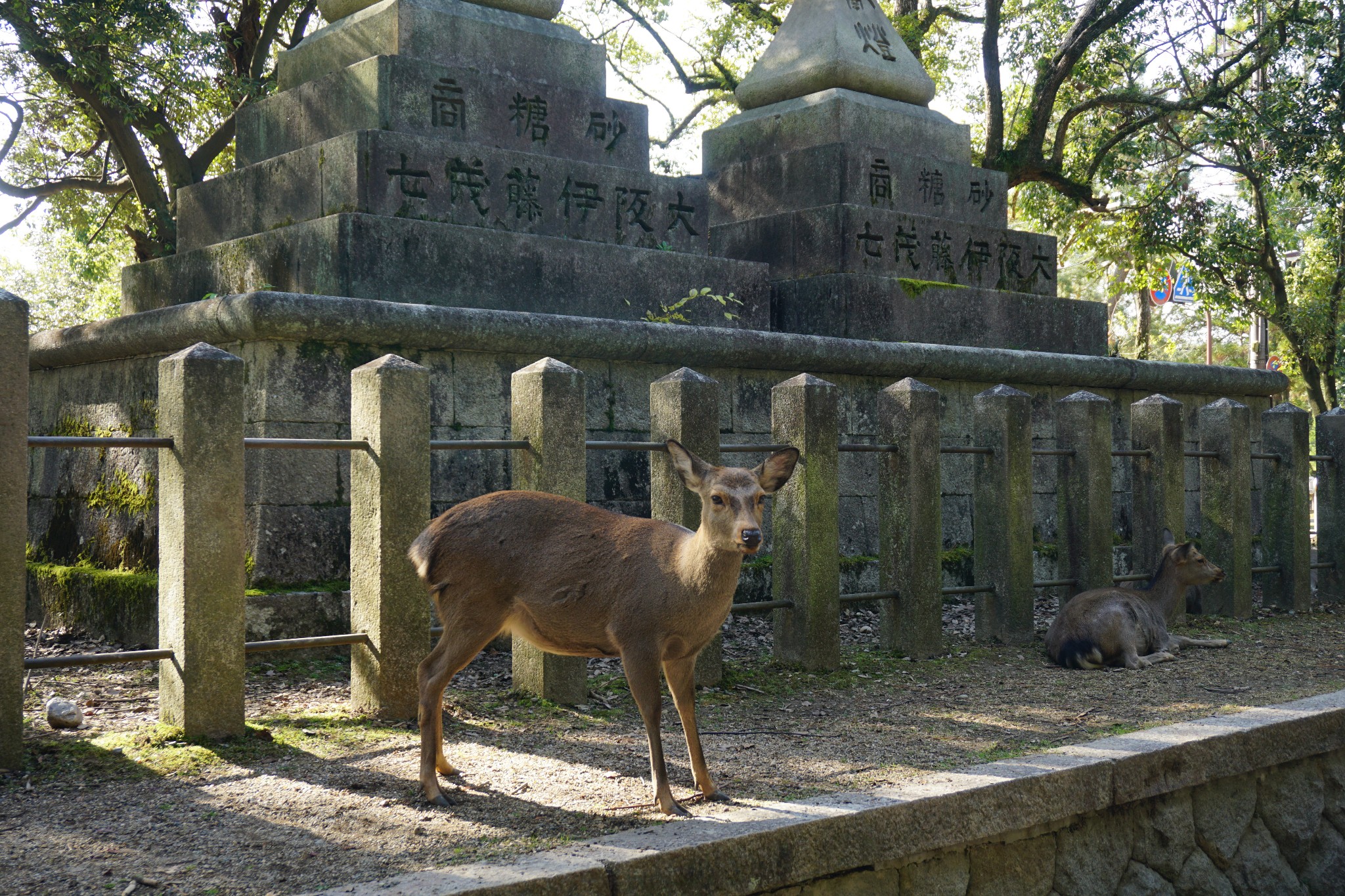 京都自助遊攻略