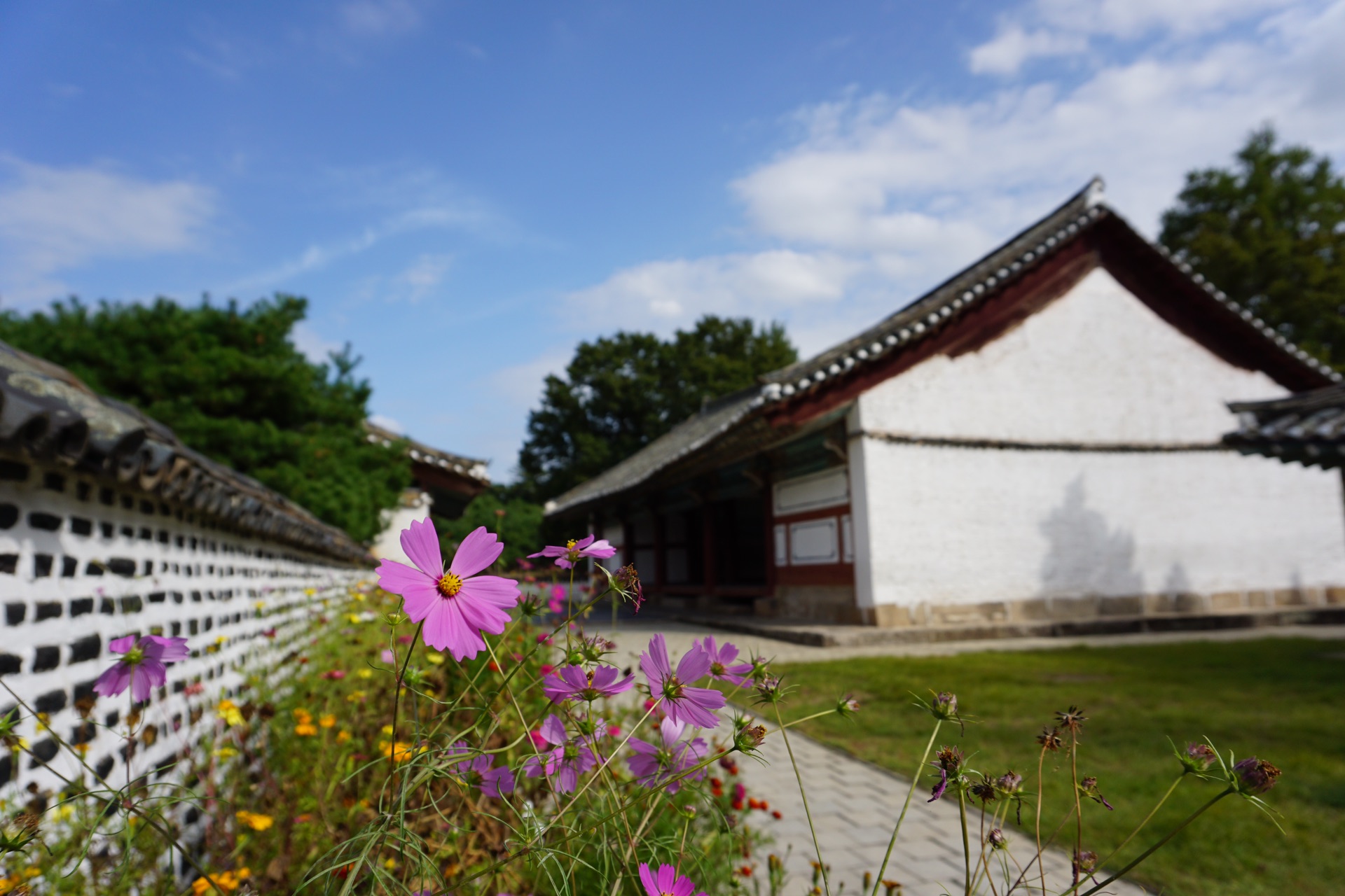 朝鮮自助遊攻略