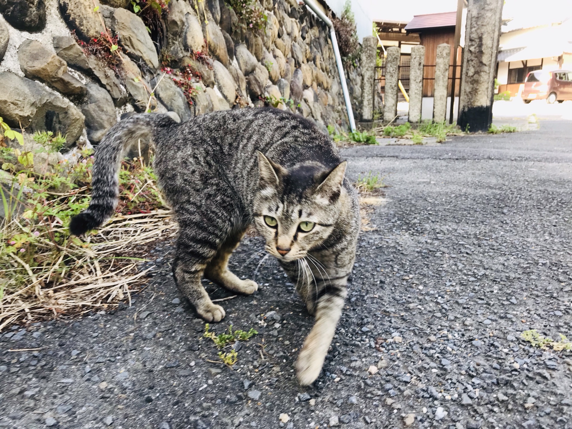 名古屋自助遊攻略