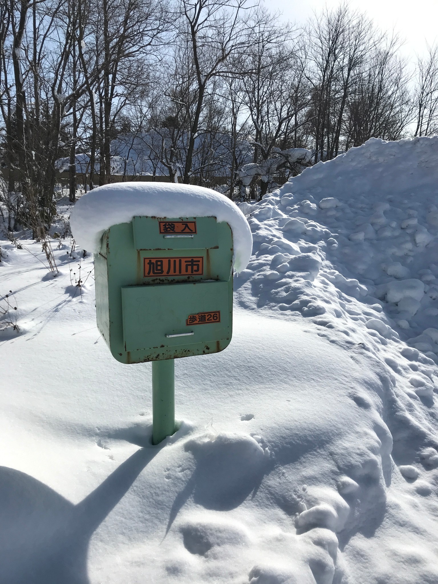 北海道自助遊攻略