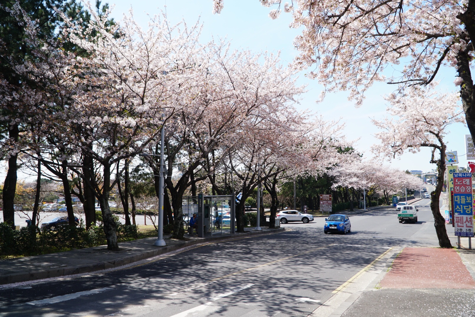 濟州島自助遊攻略