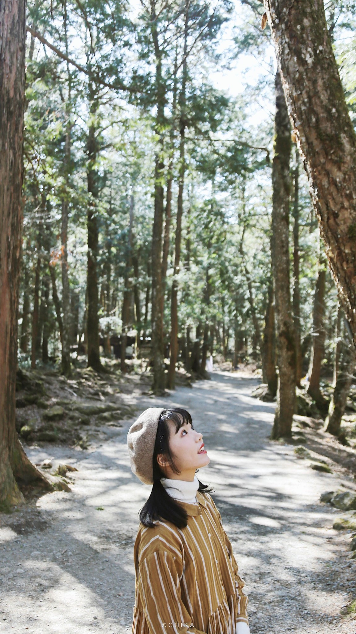 富士山自助遊攻略