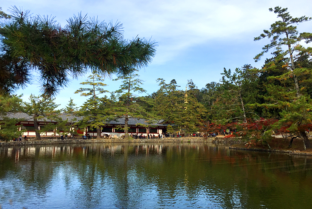 京都自助遊攻略