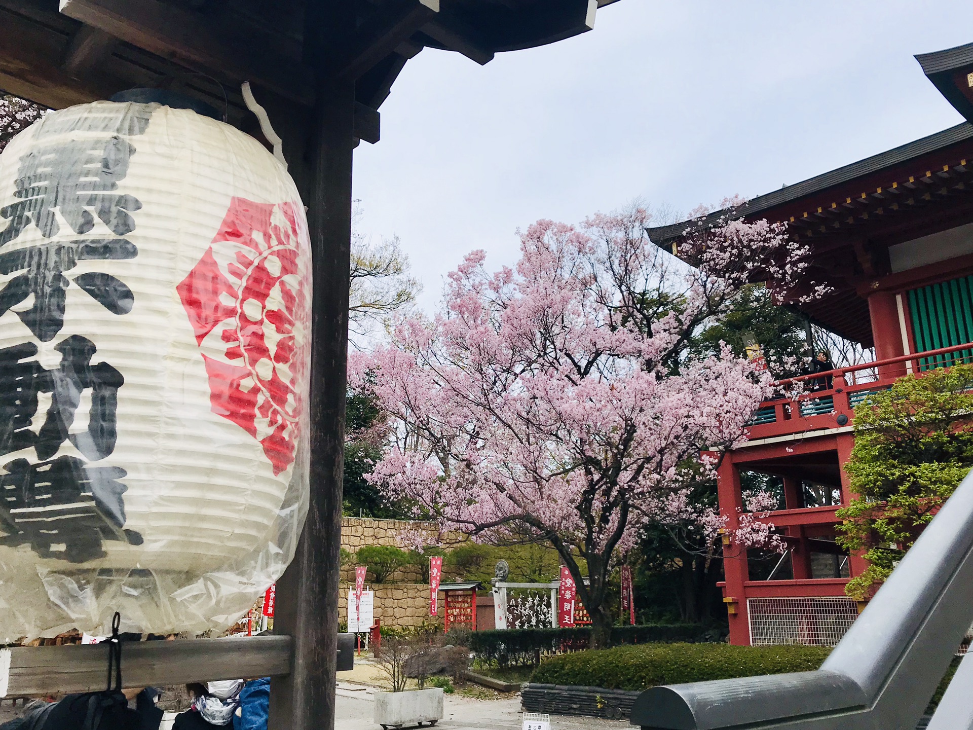 東京自助遊攻略