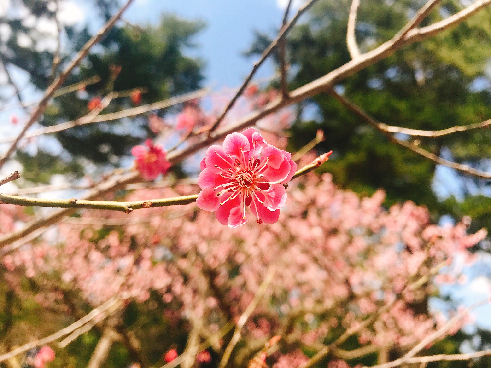 名古屋自助遊攻略