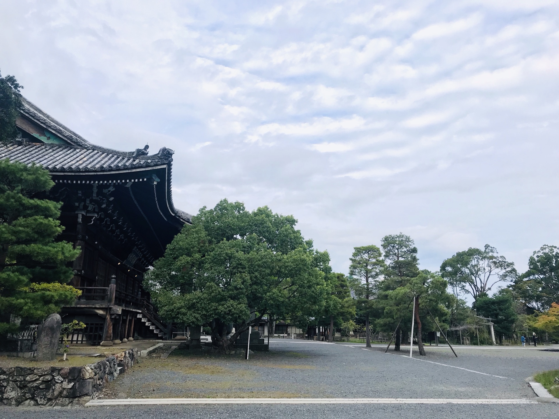 京都自助遊攻略