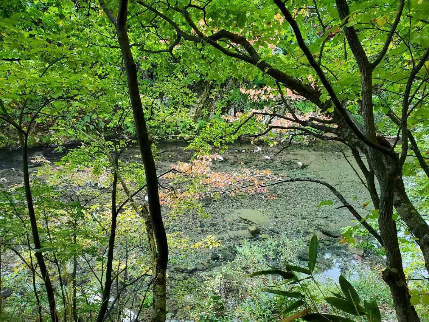 北海道自助遊攻略