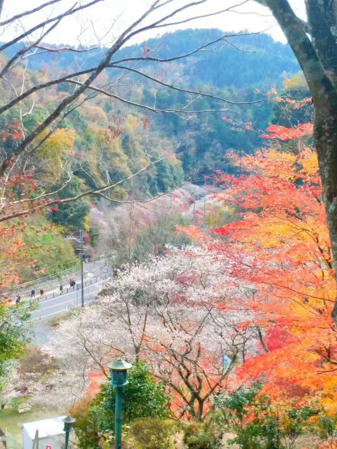 名古屋自助遊攻略