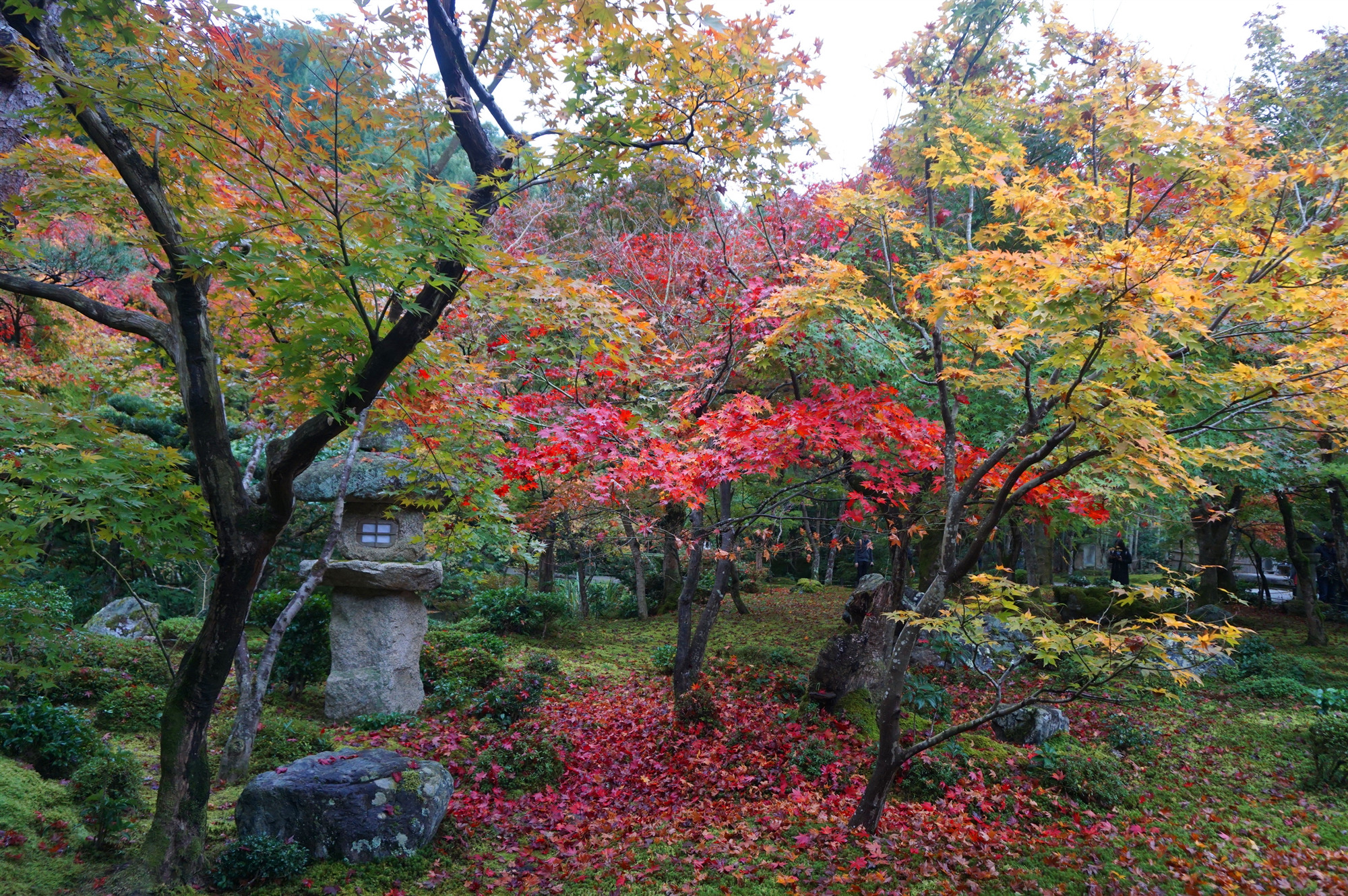 京都自助遊攻略