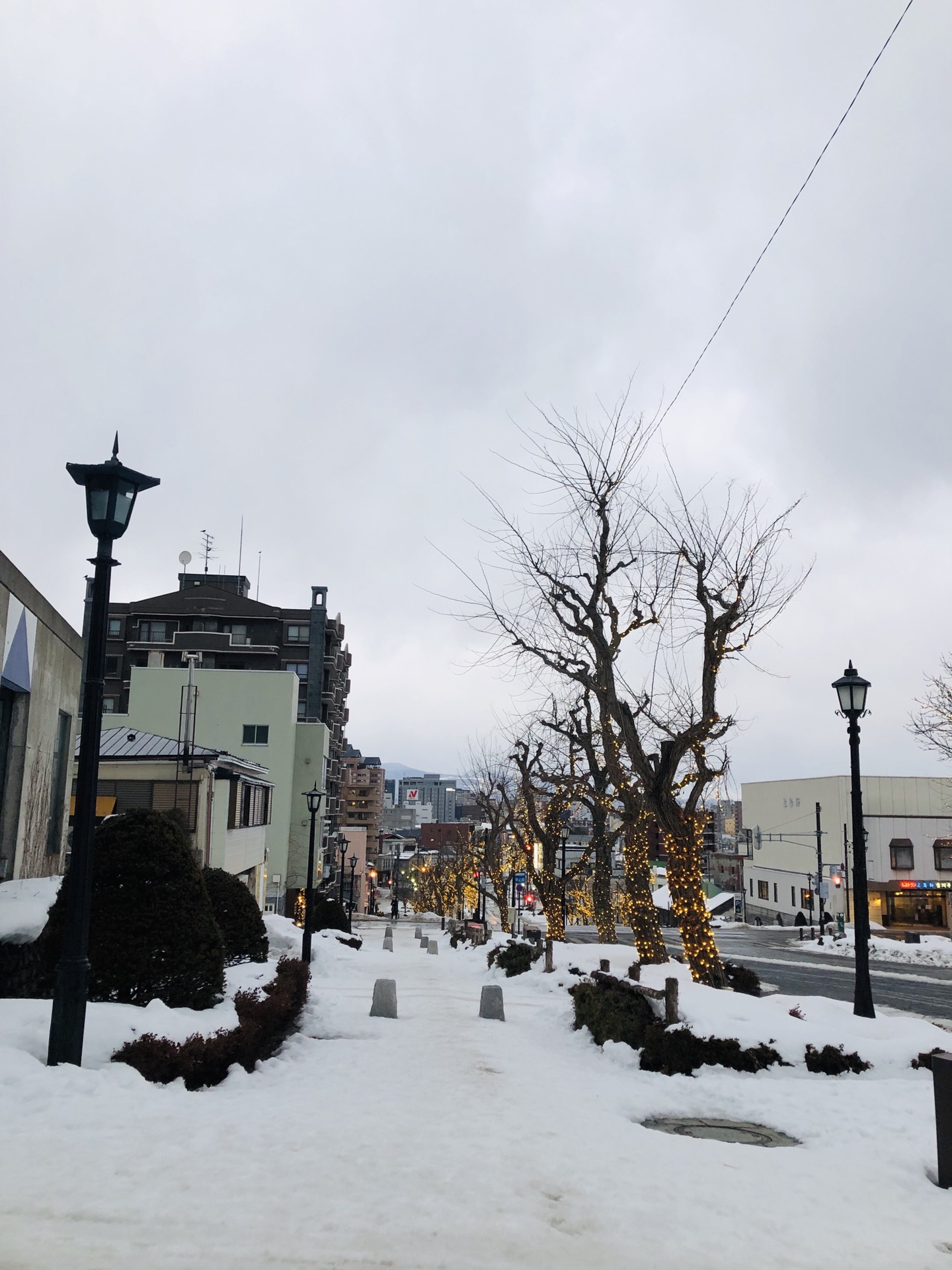 北海道自助遊攻略