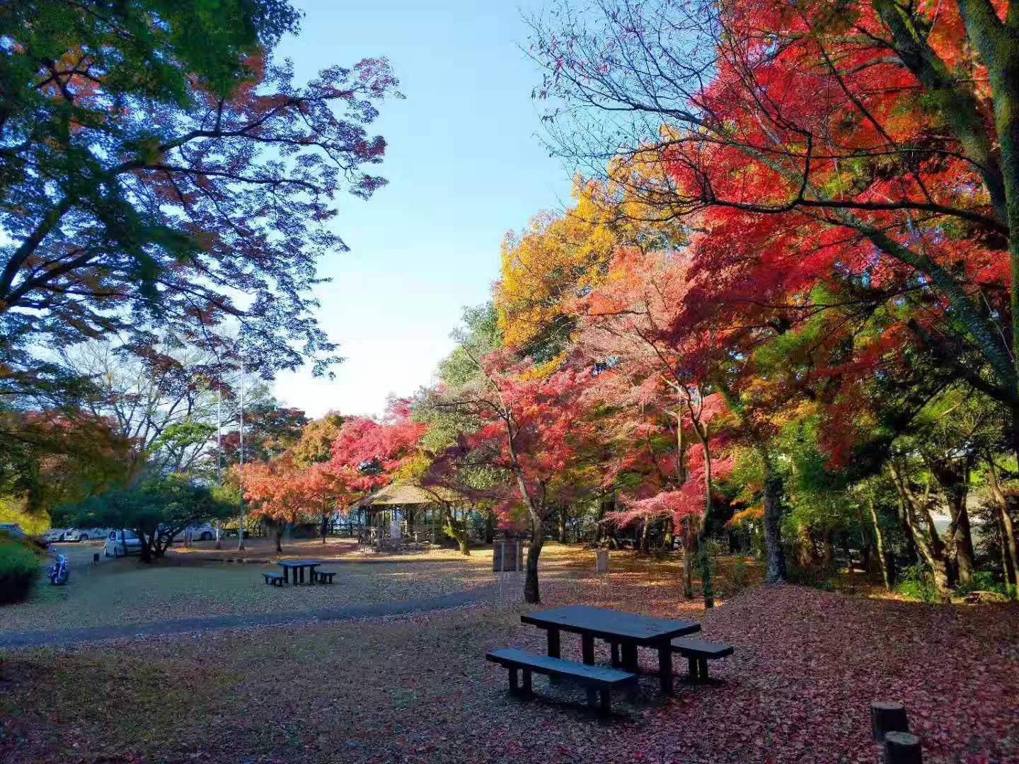 名古屋自助遊攻略