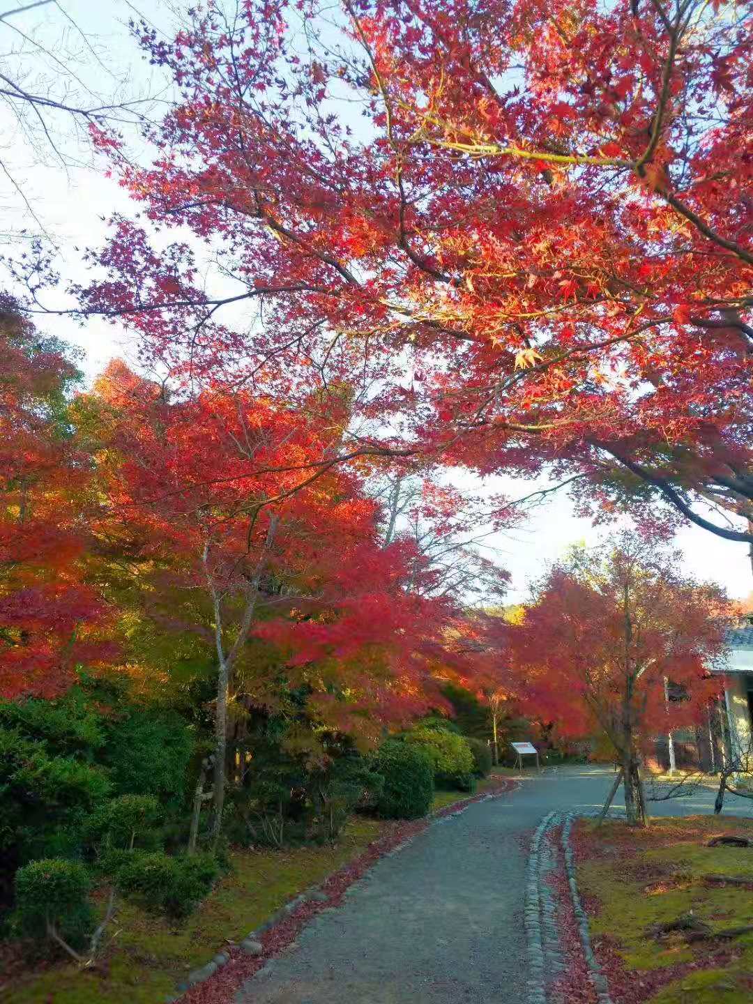 名古屋自助遊攻略