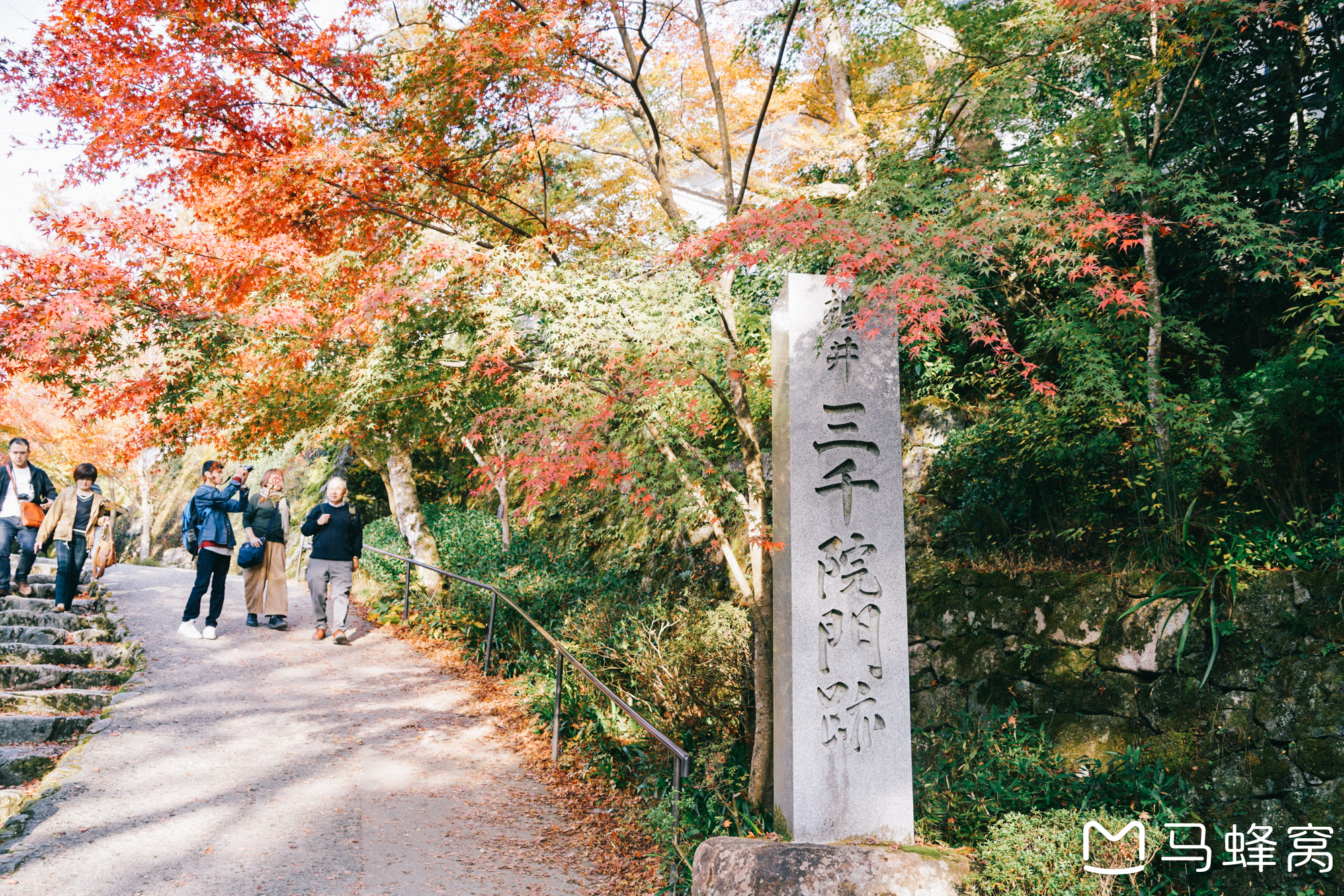 京都自助遊攻略