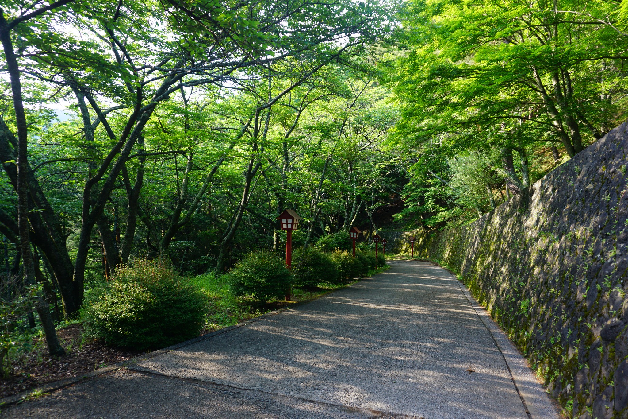 東京自助遊攻略