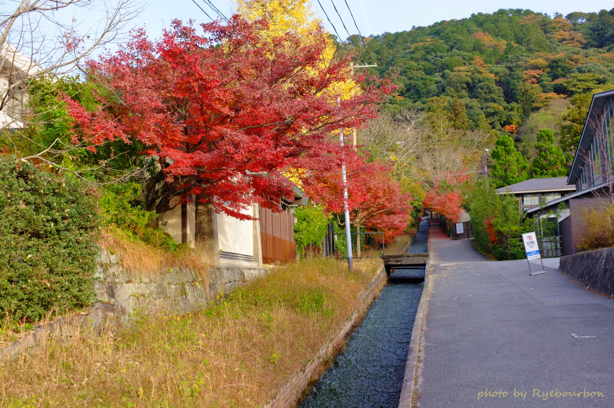 京都自助遊攻略