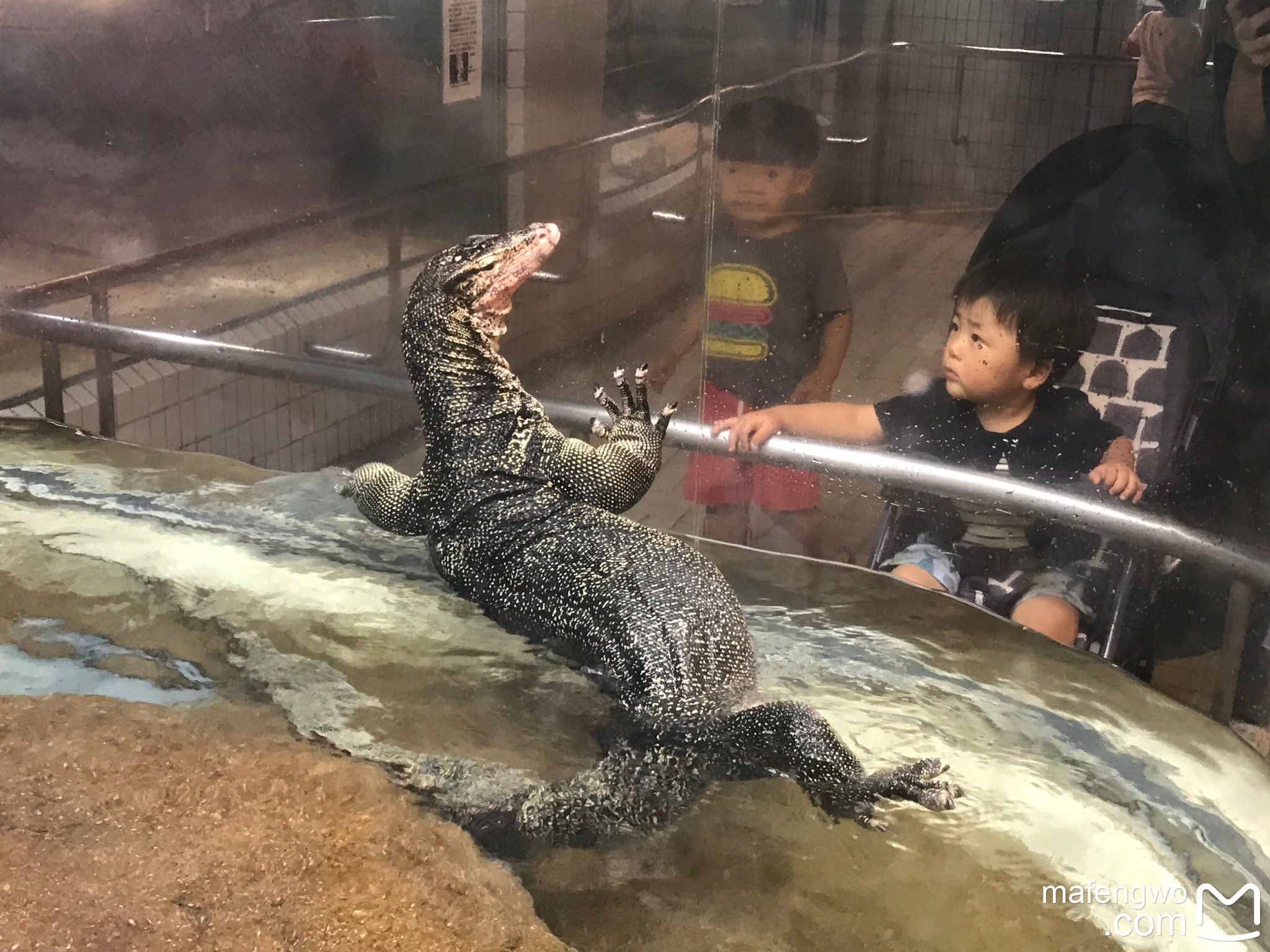 名古屋自助遊攻略