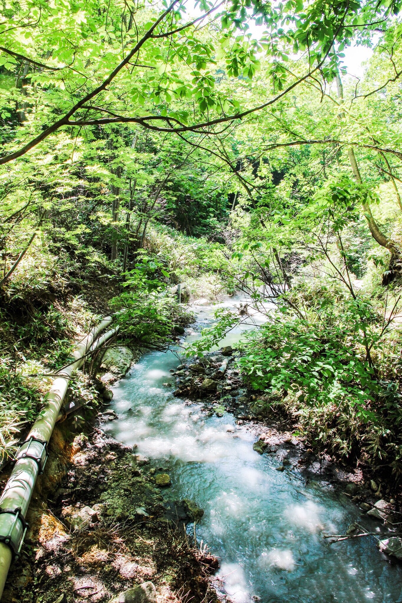 北海道自助遊攻略