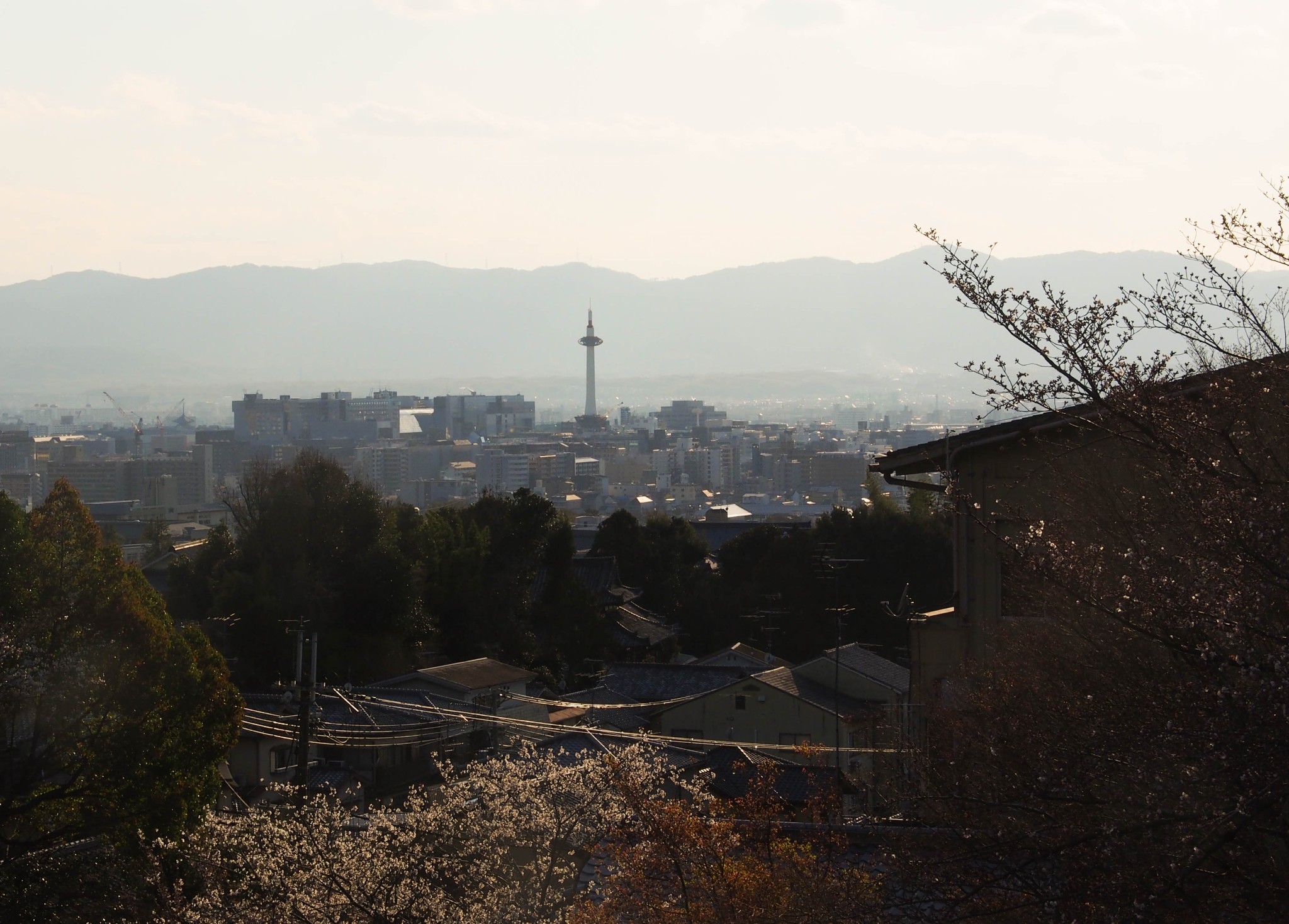 京都自助遊攻略