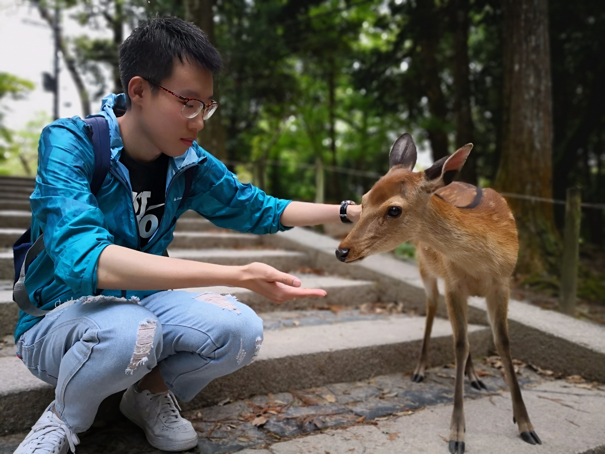 京都自助遊攻略