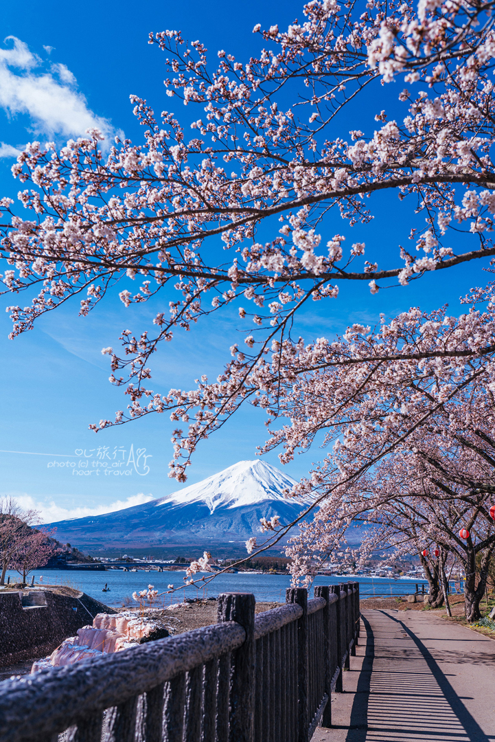 富士山自助遊攻略