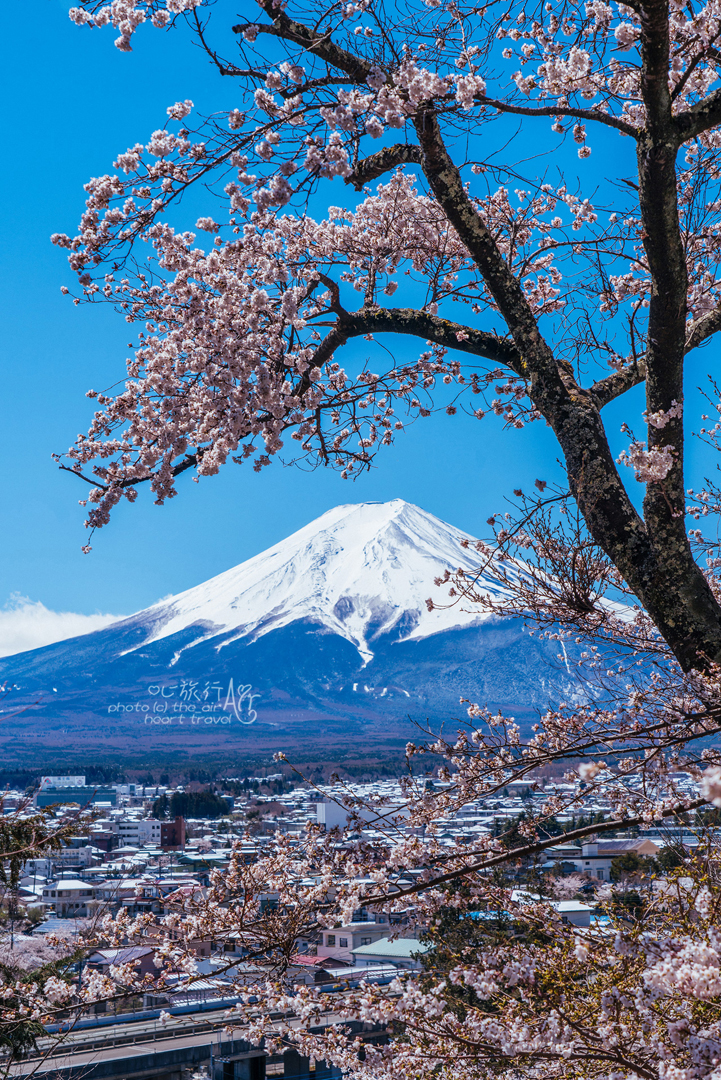 富士山自助遊攻略