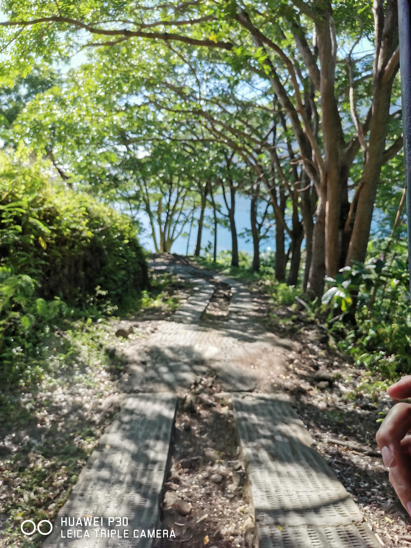 大溪地自助遊攻略