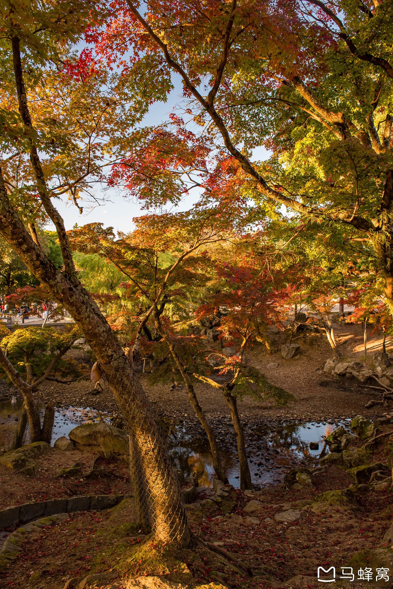 京都自助遊攻略