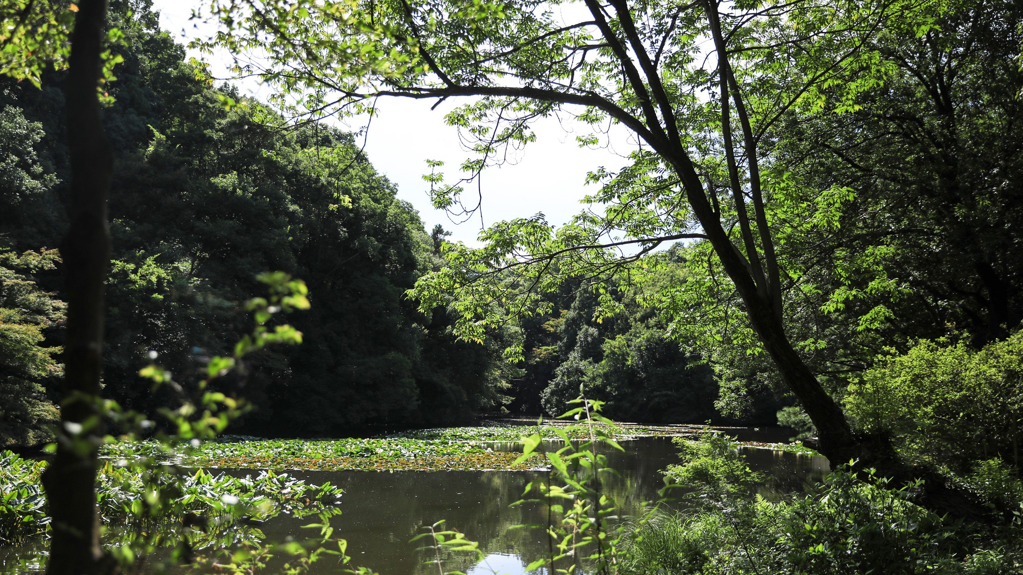 東京自助遊攻略