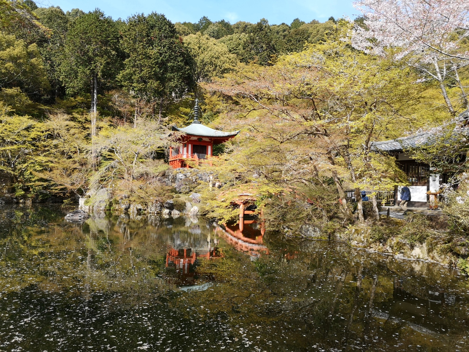 京都自助遊攻略