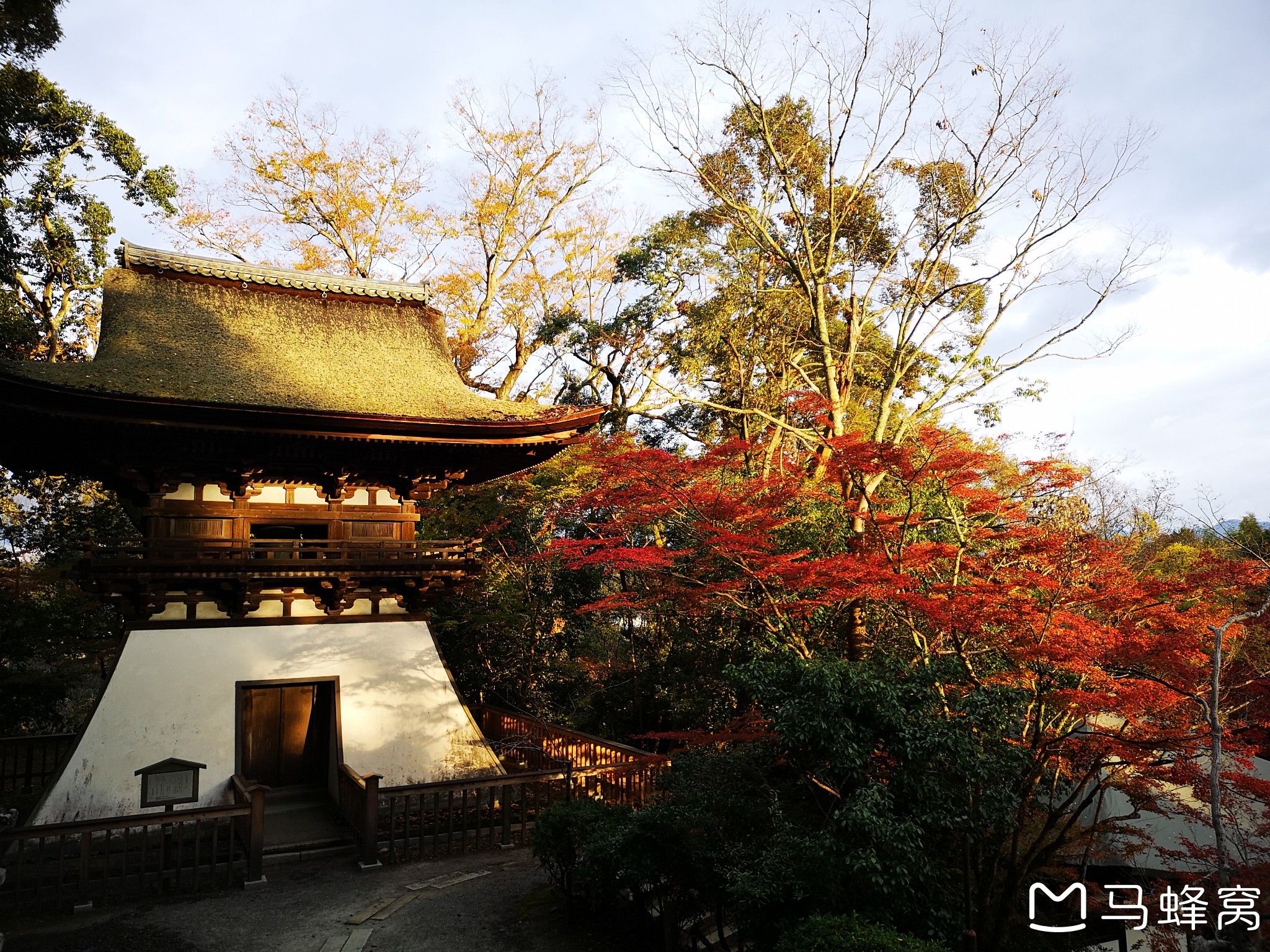 京都自助遊攻略