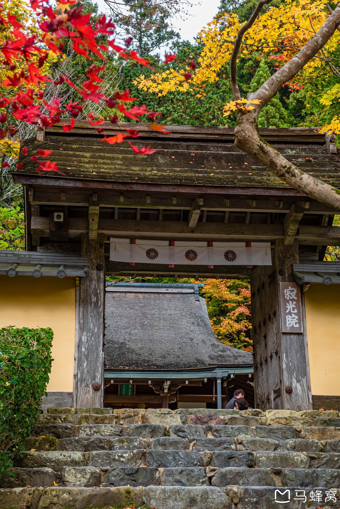 京都自助遊攻略