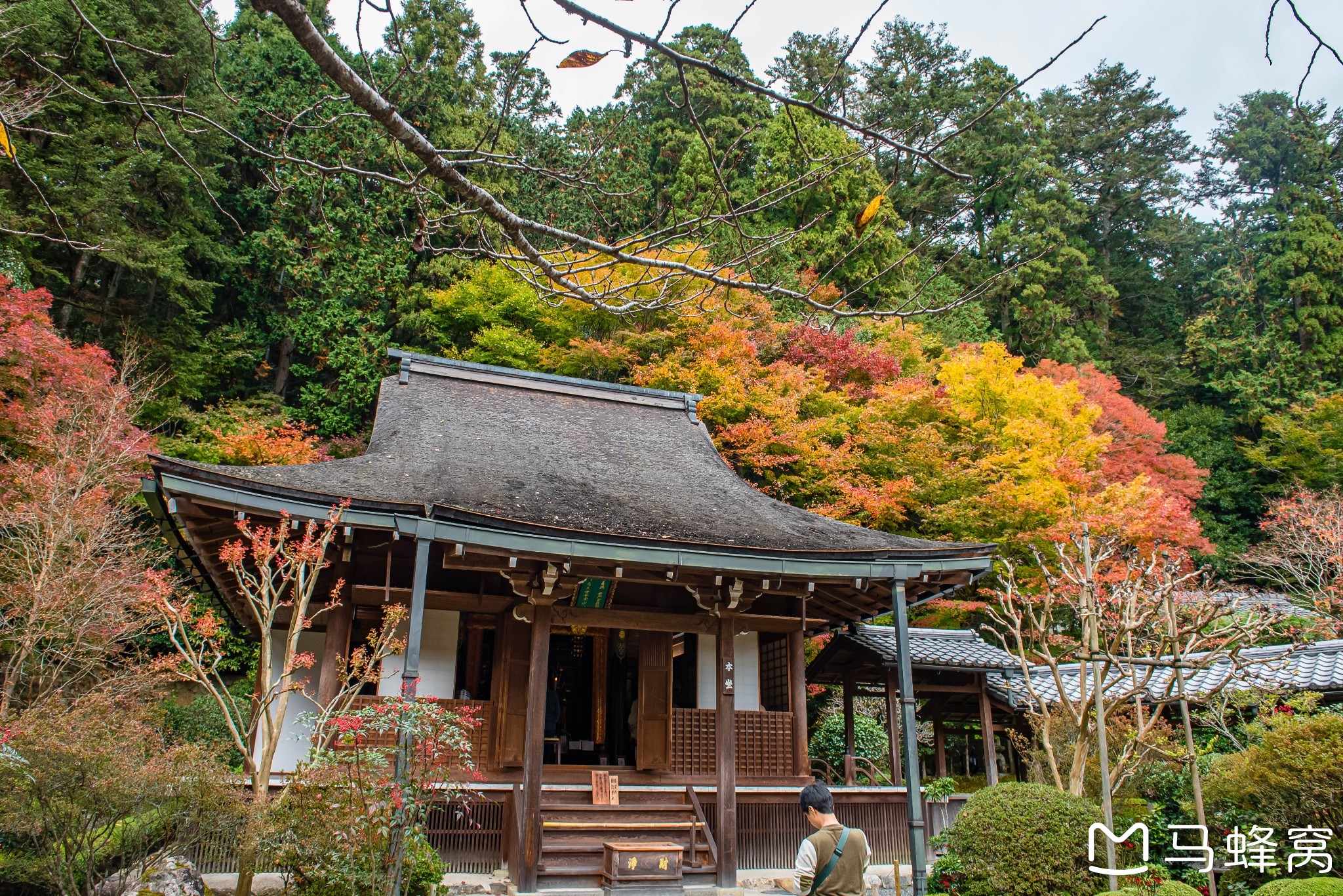 京都自助遊攻略