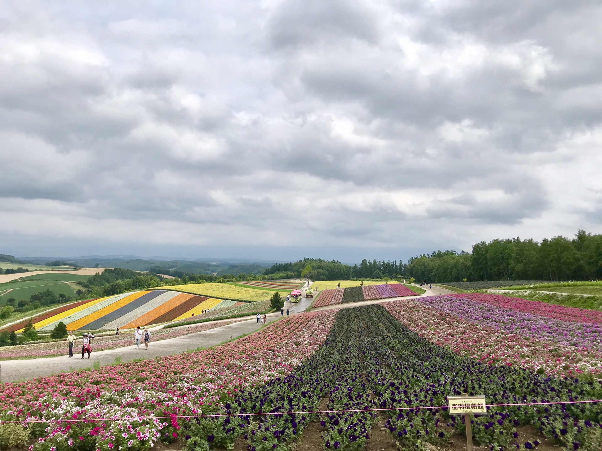 北海道自助遊攻略