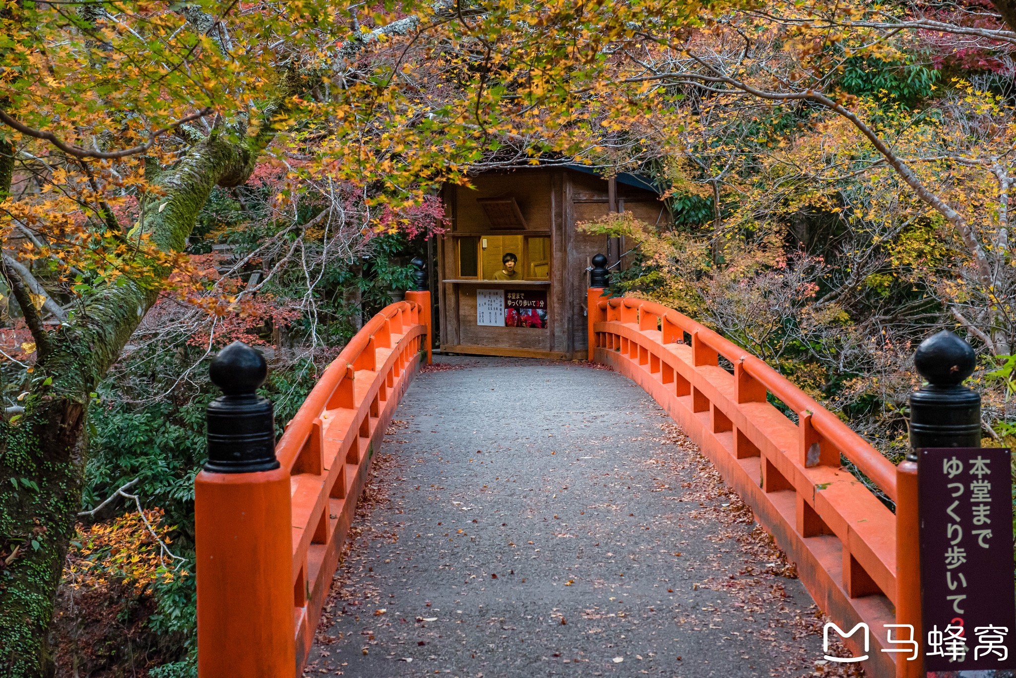 京都自助遊攻略