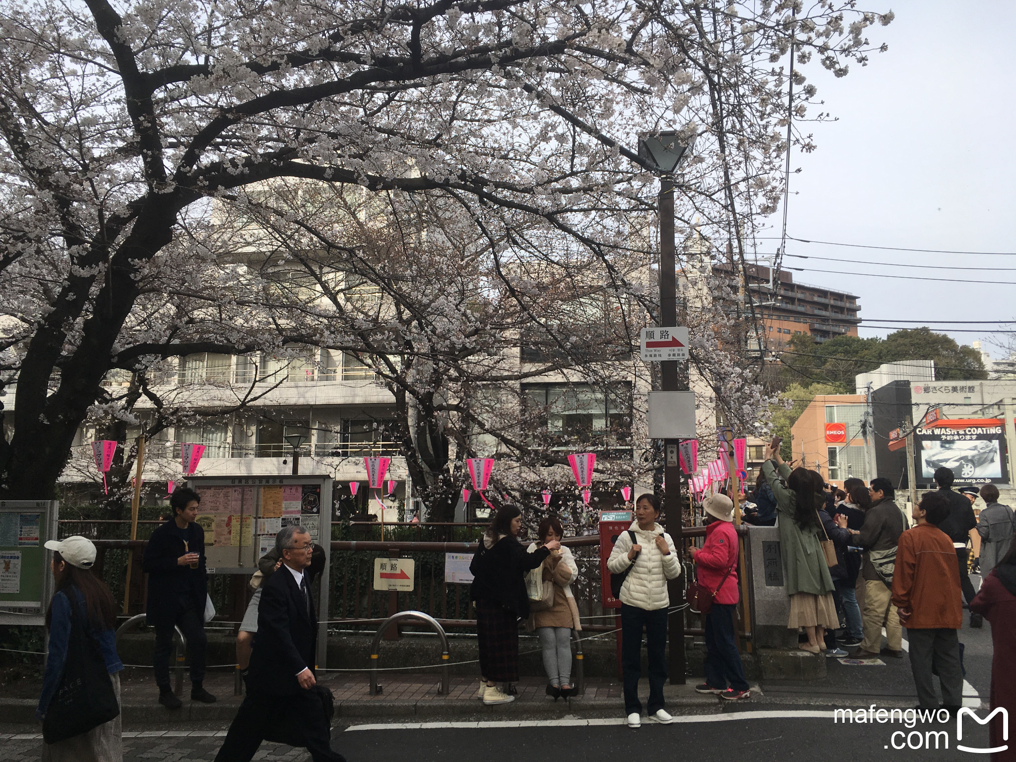 東京自助遊攻略