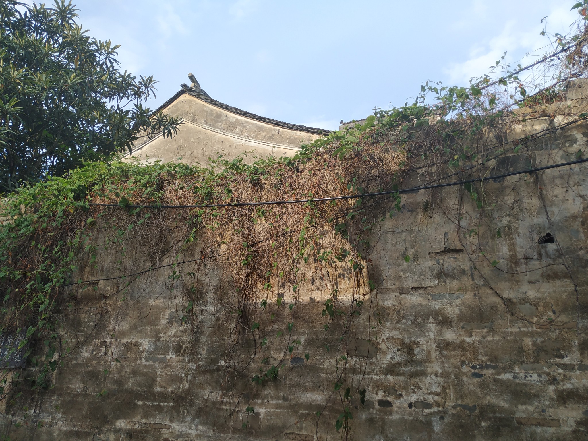 明月湾古村-《都挺好》苏明玉度假地