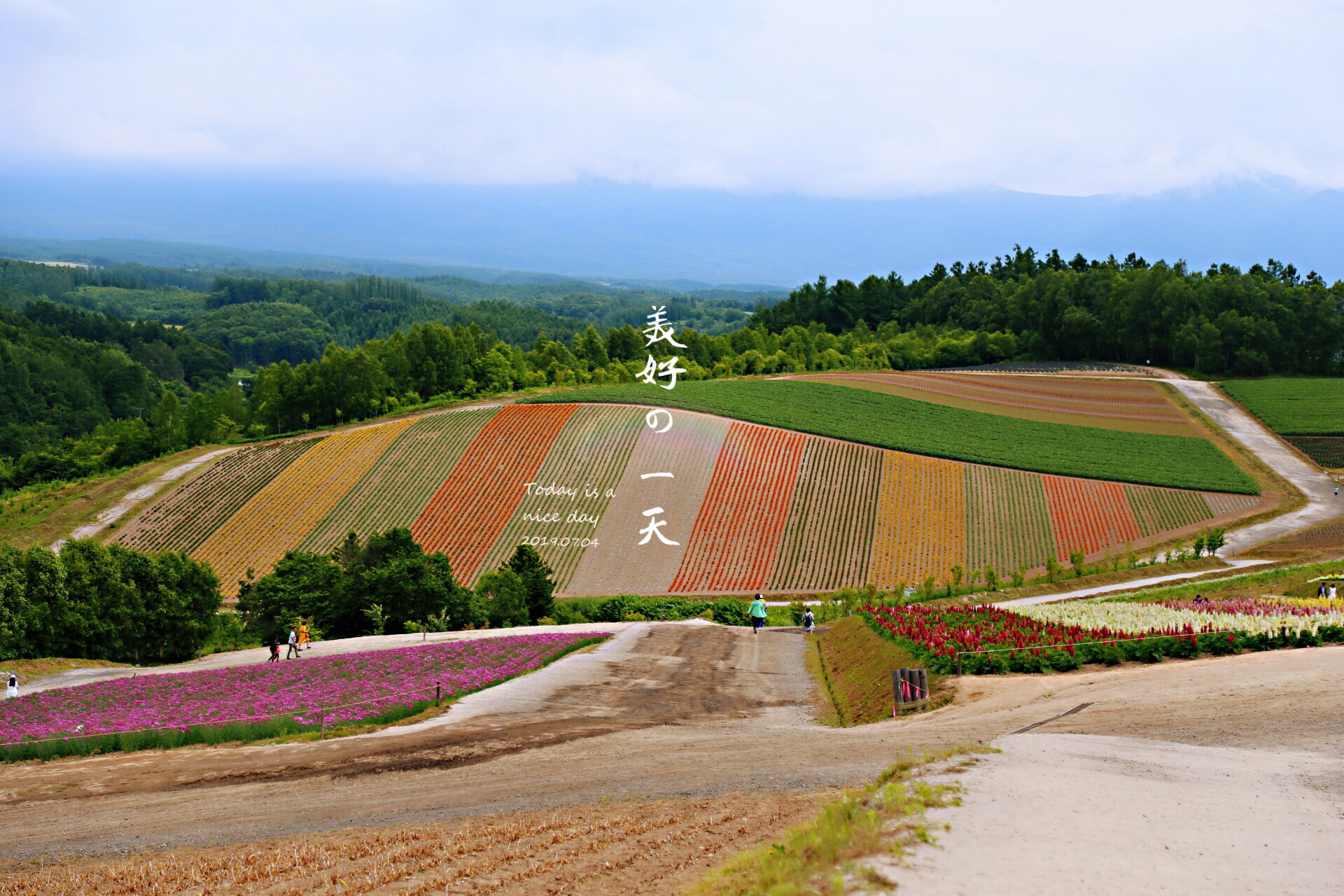 北海道自助遊攻略