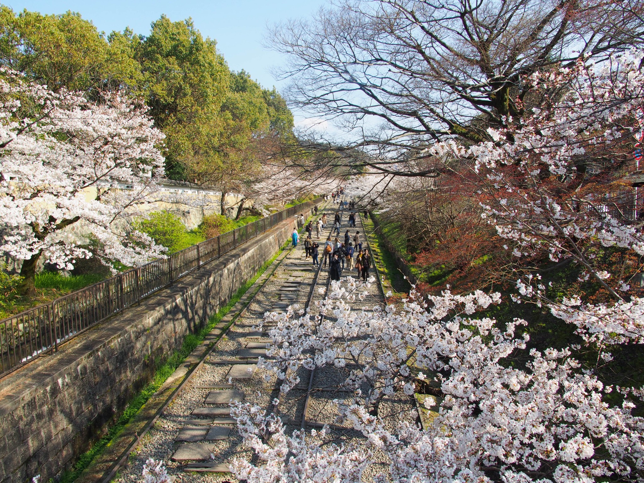 京都自助遊攻略