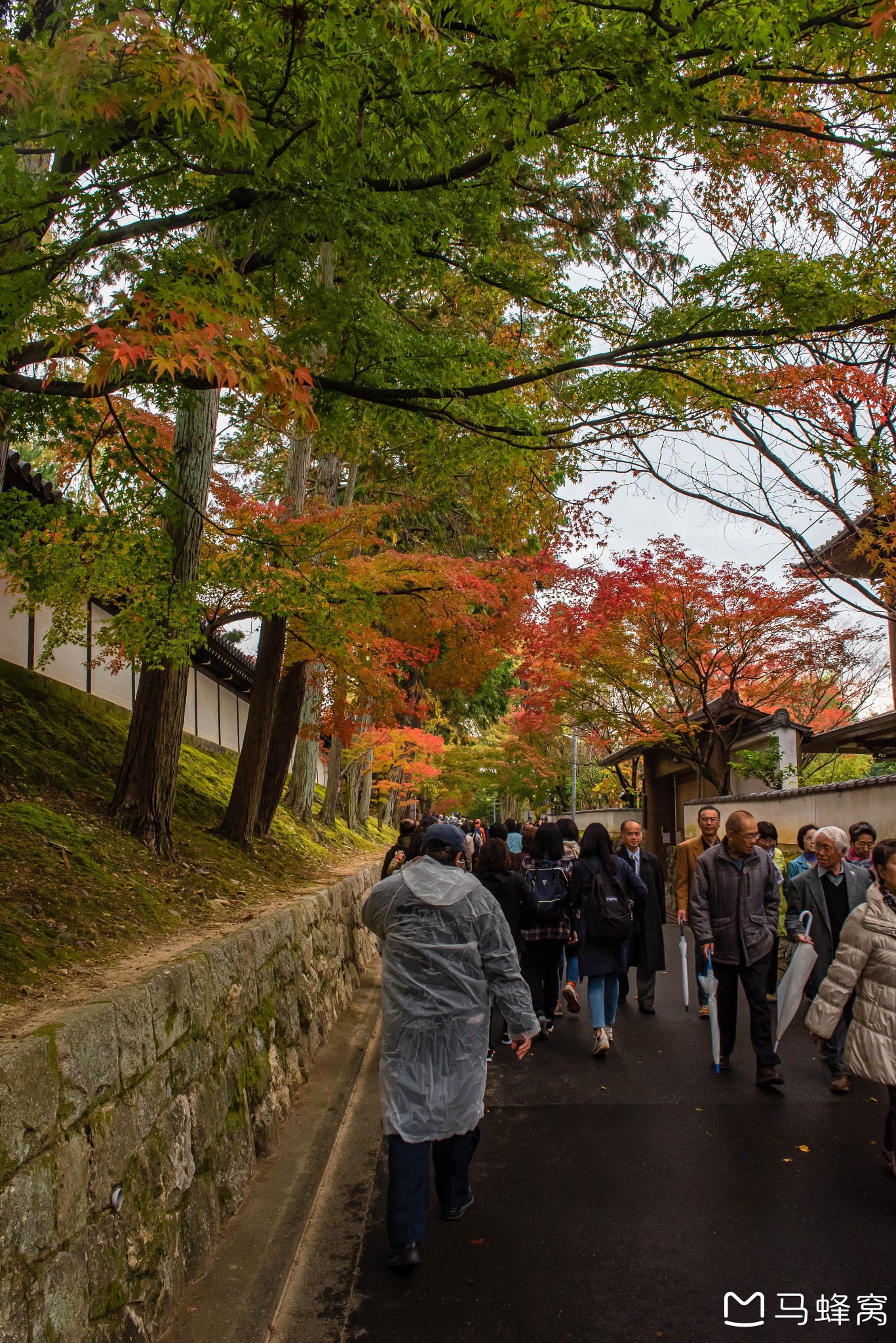 京都自助遊攻略