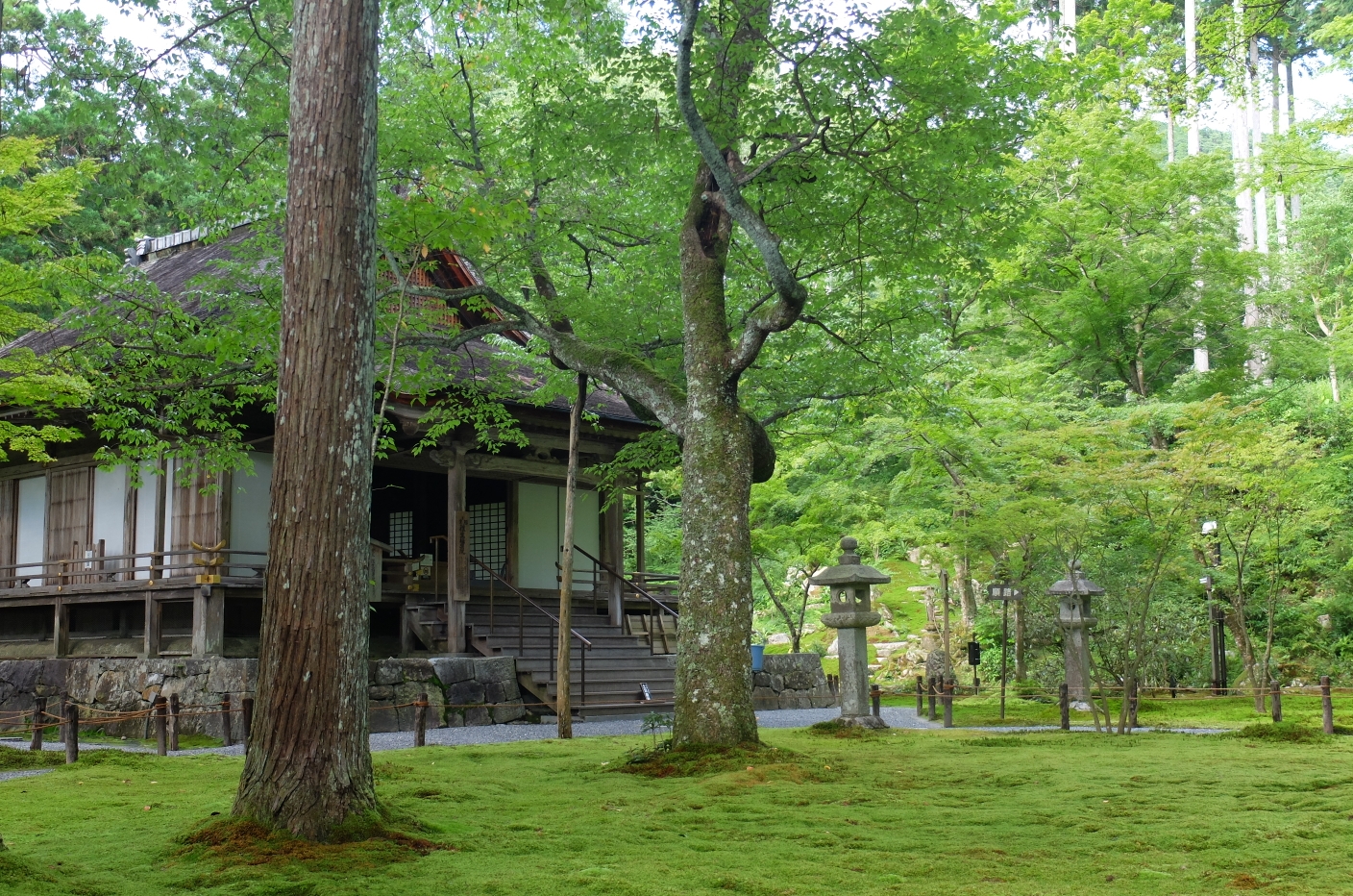 京都自助遊攻略