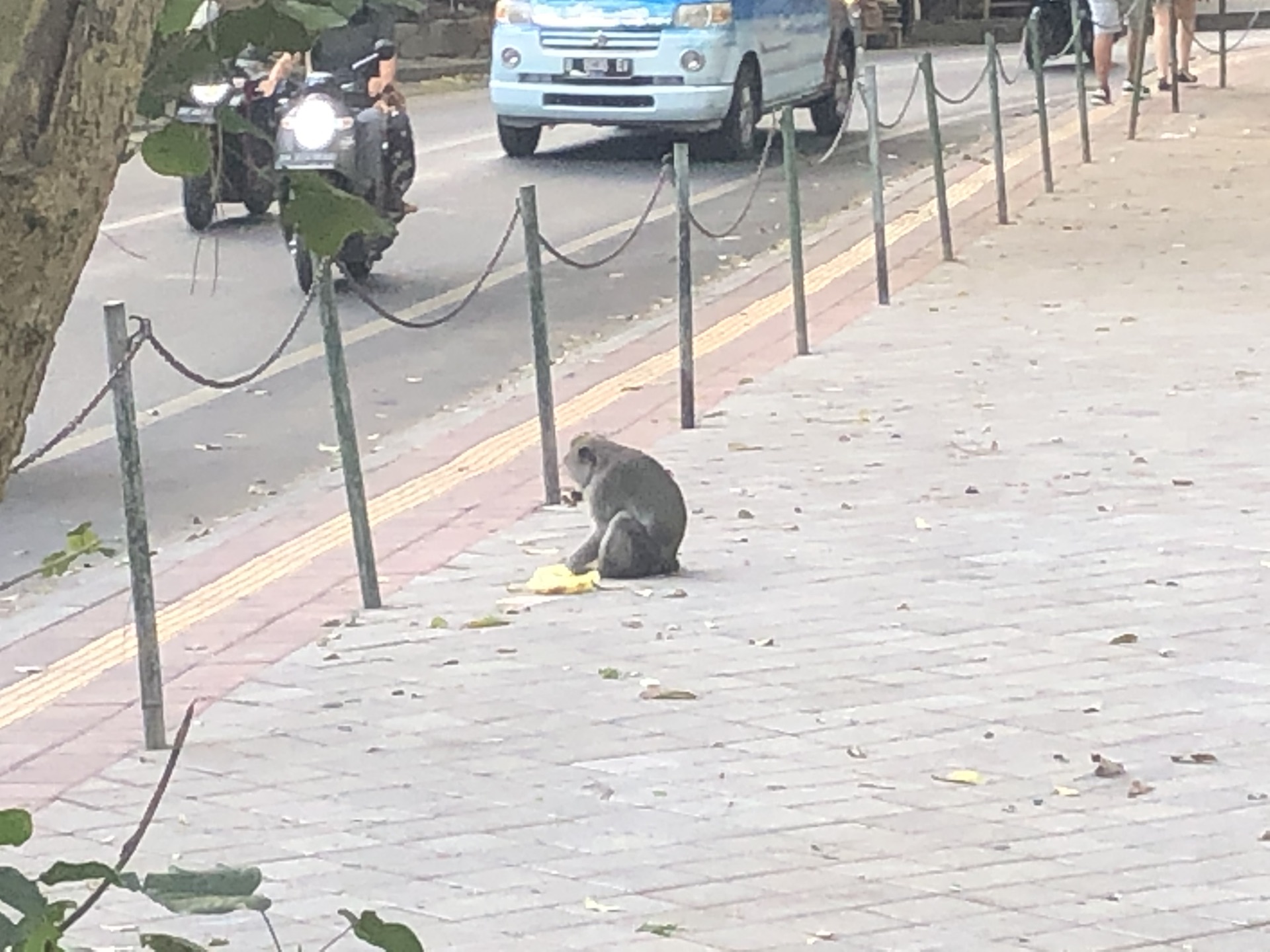 巴釐島自助遊攻略