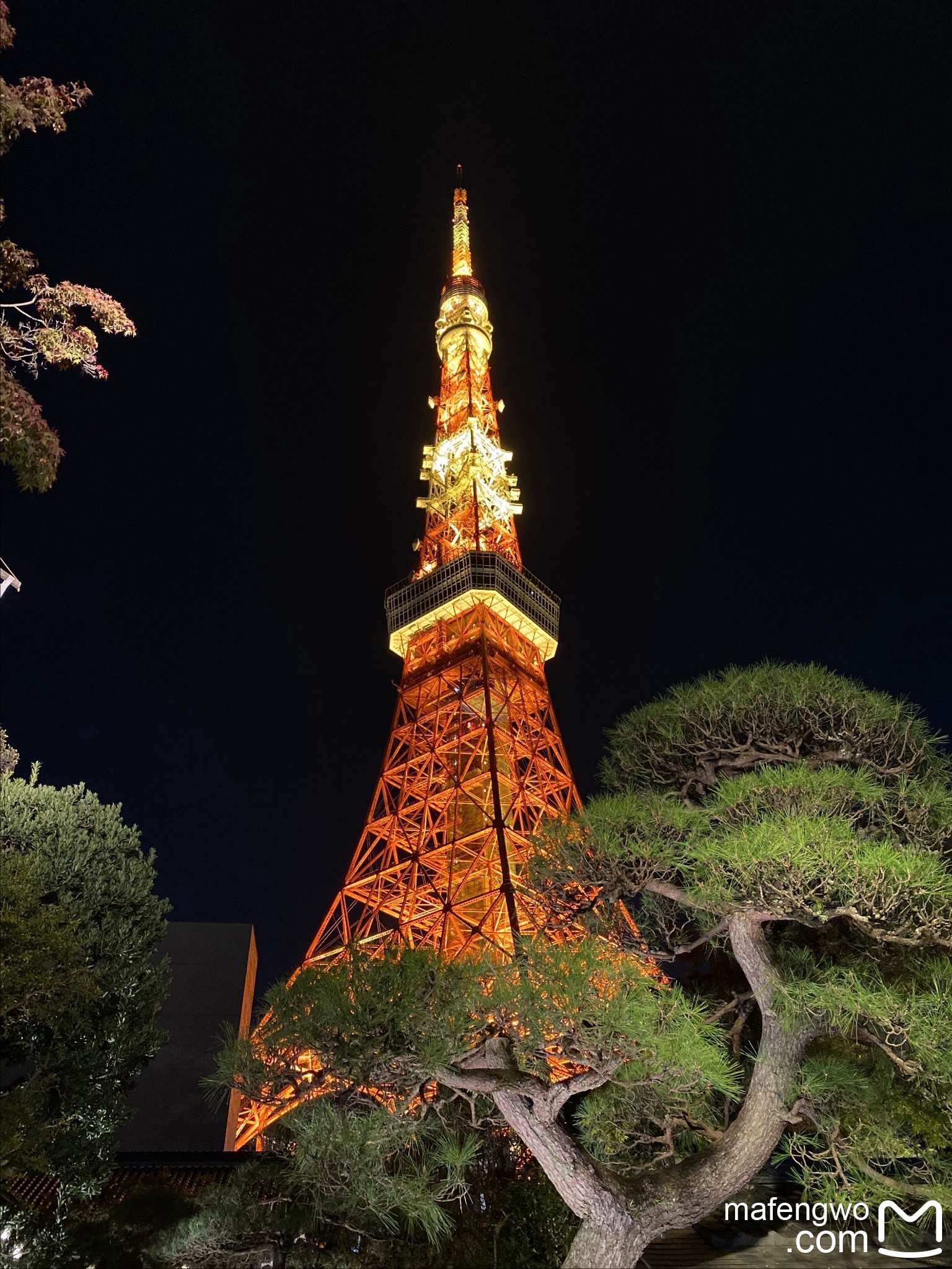 富士山自助遊攻略