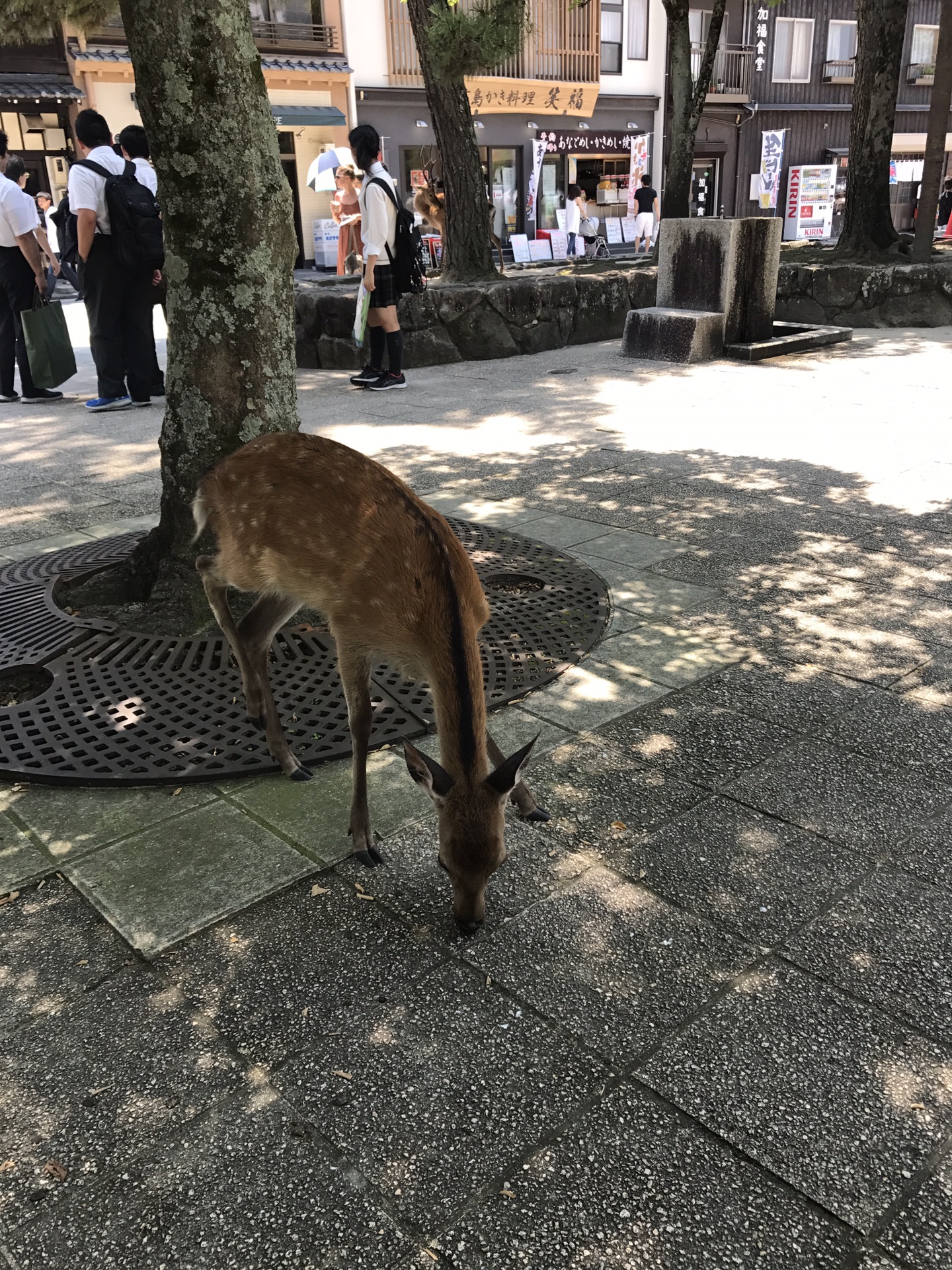 大阪自助遊攻略