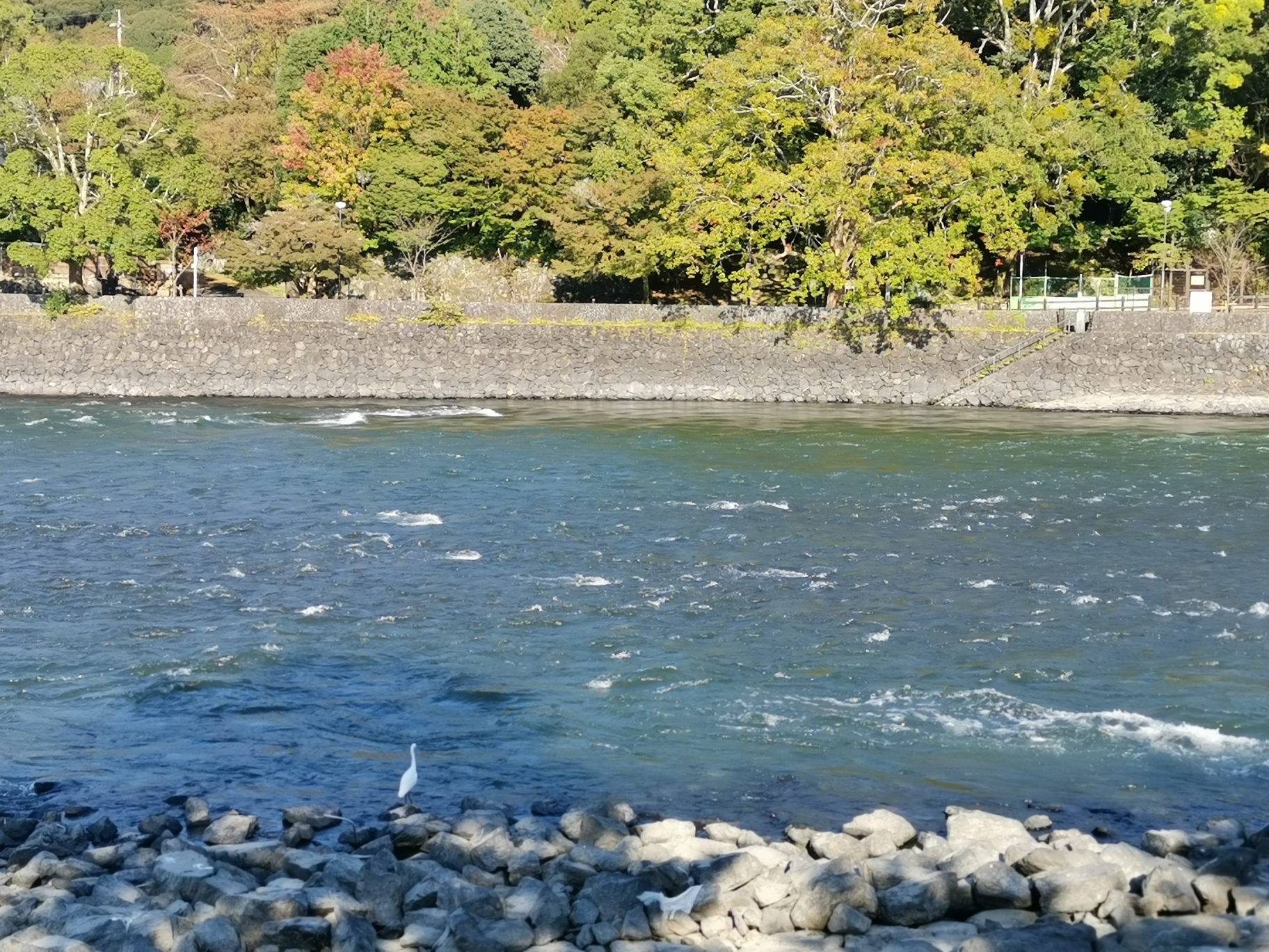 京都自助遊攻略